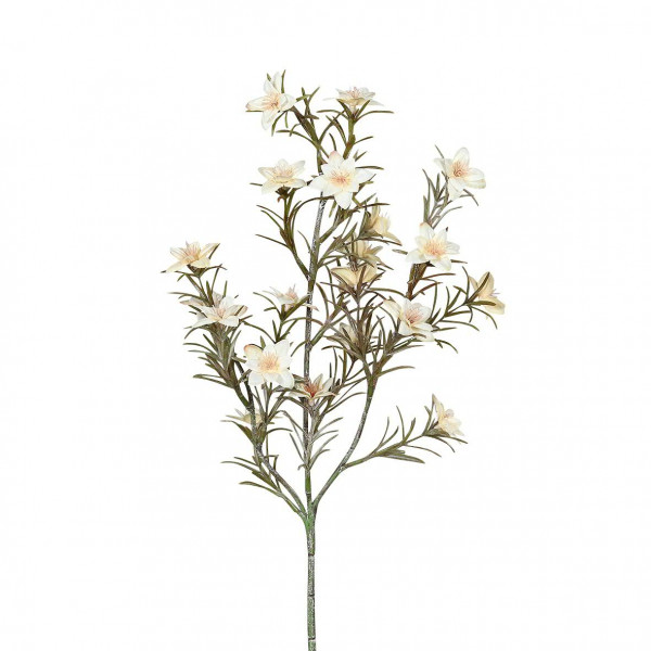 Wax Flower 45cm, creme