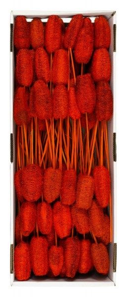 Luffa 05-10cm am Stiel 100St. FPK nicht farbecht, orange