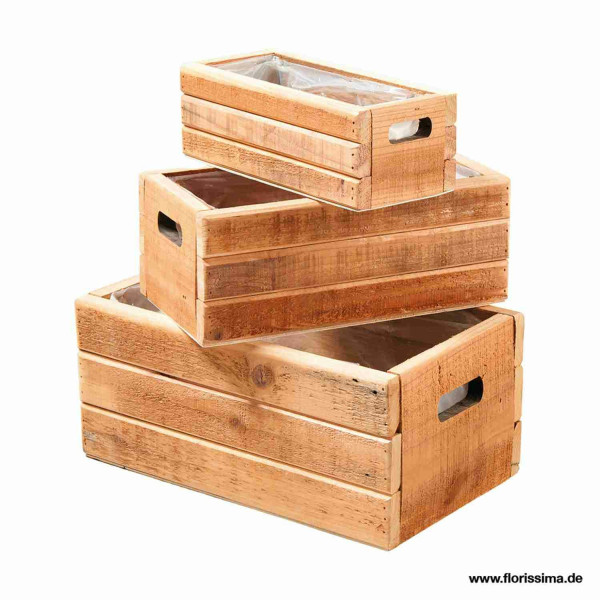 Kiste Holz S/3 25x9x12/30x12x16cm 35x16x22cm mit Folie, natur