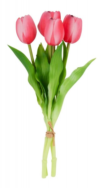Tulpen 29cm 4St. Aktionspreis, rosa