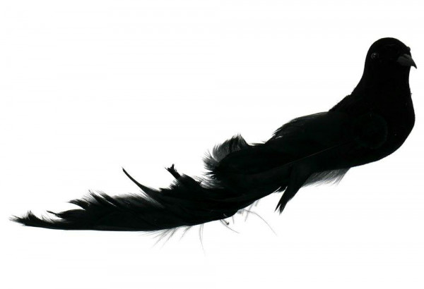 Vogel SP Feder 12St.24/20cm am Draht, schwarz