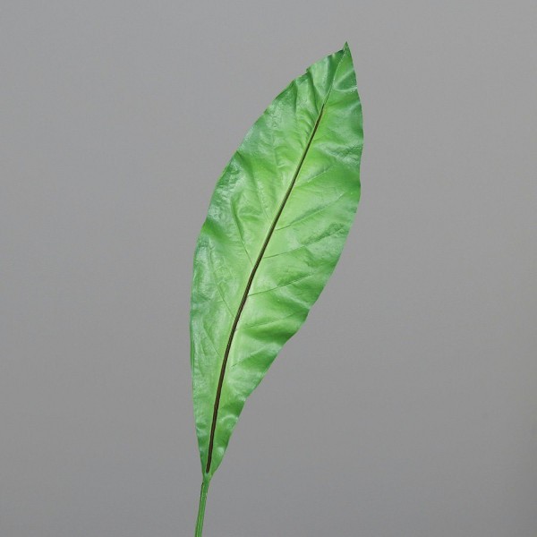 Blatt Anthurien 62cm, grün