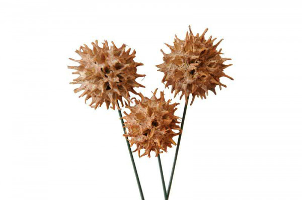Amberbaum am Draht 10cm frosted 80St., terracotta