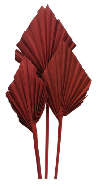 Palm Spear mini nicht farbecht, rot