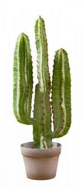 Kaktus 68cm im Topf, grün
