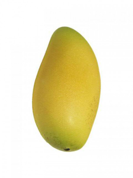 Mango 12cm 6St., gelb/grün