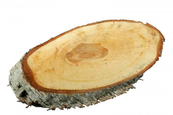 Birkenscheiben oval ca.26x12cm, natur