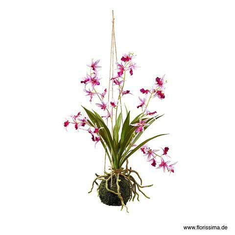Orchidee 45cm in Erde z.Hängen, lila