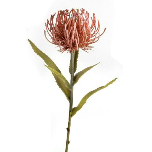 Protea 51cm Nadelkissen m.Blättern, pink