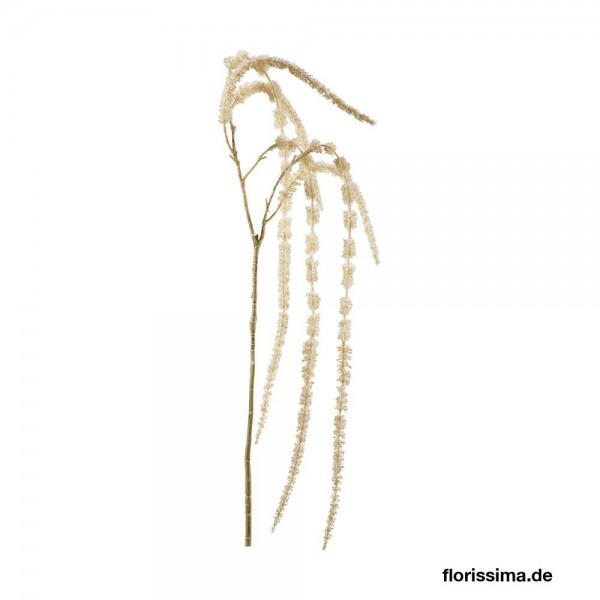 Amaranthus SP Zweig x6 125cm, creme