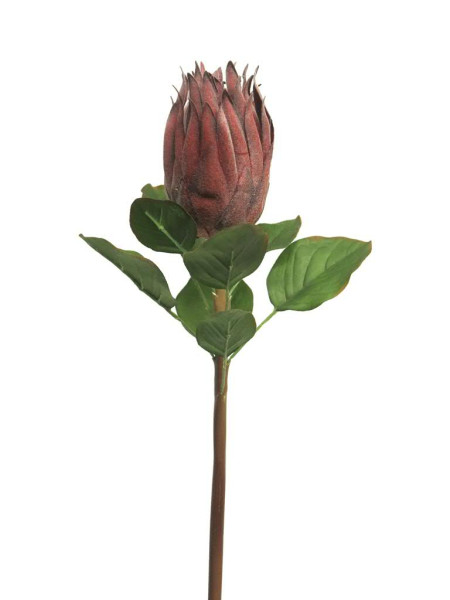 Protea 58cm, rot