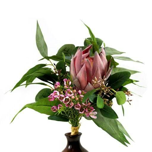 Protea Strauß 81cm mit Blättern Aktionspreis, pink