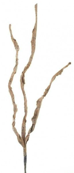 Baumrinden Zweig 100cm, braun