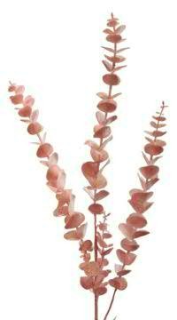 Eucalyptus Zweig 82cm, rosa