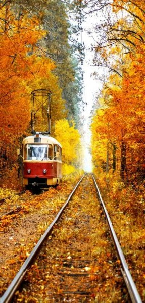 Banner 90x180cm Straßenbahn im Herbst