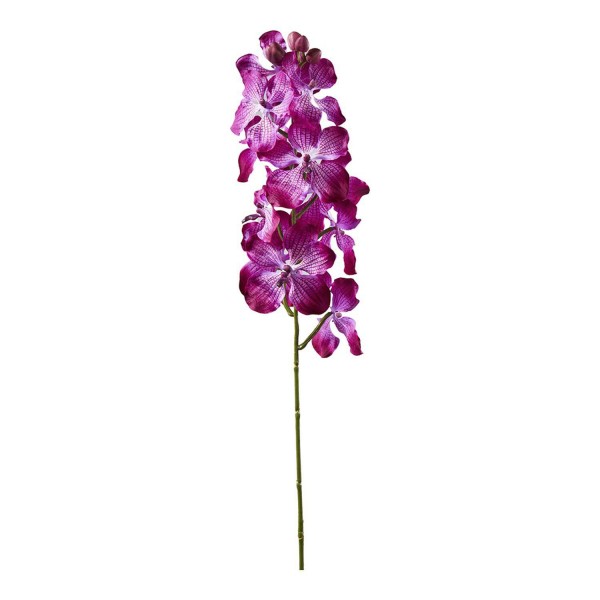 Orchidee 79cm, fuchsia