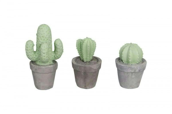 Kaktus SP Zement 7-8,5x10-15cm sort., grau/grün