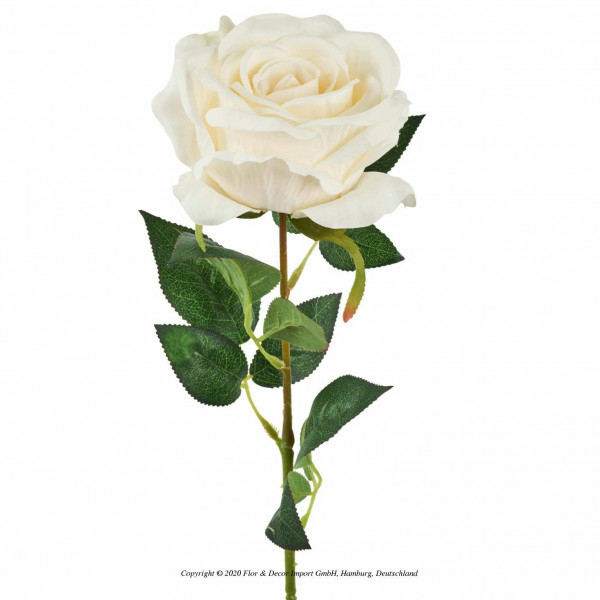 Rose 65cm, cremeweiß