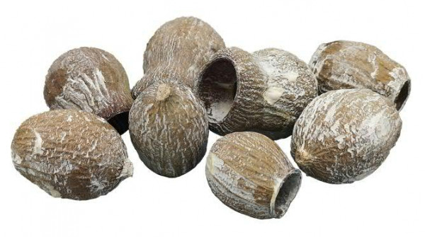 Bellgum Cones 1kg, frosted