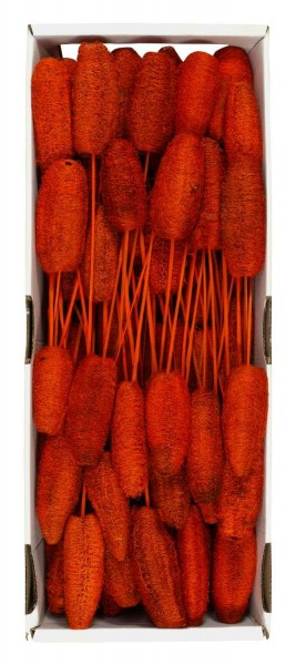 Luffa 10-15cm am Stiel 100St. FPK nicht farbecht, orange