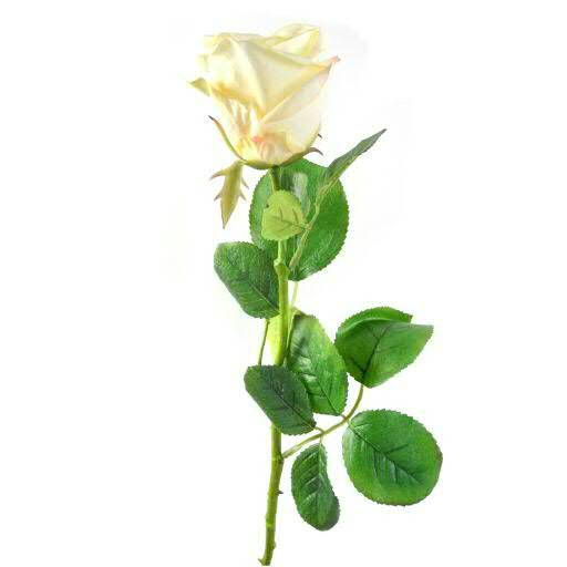 Rose SP 95cm, weiß