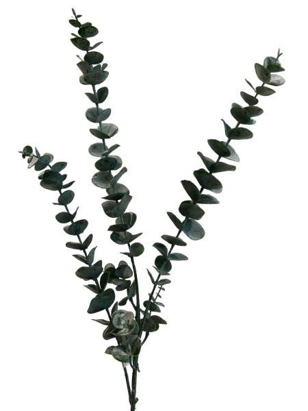 Eucalyptus Zweig 82cm, grün