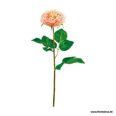 Rose 52cm, pink