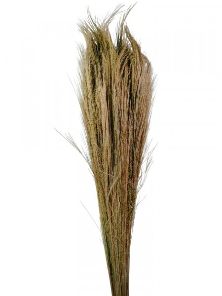 Wild Eryanthus 80-100cm 500g, natur