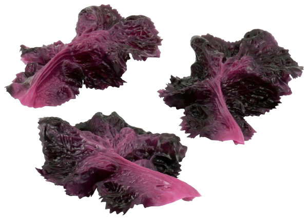 Salatblatt 3St. SP L18B12cm, purple