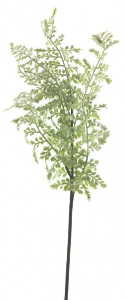 Farn Zweig 60cm, weiß