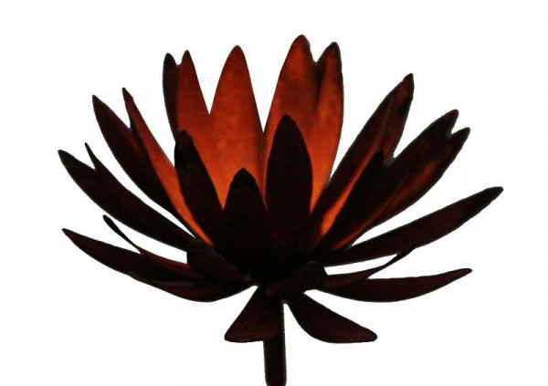 Rost Chrysantheme D50H25cm mit Stab 120cm