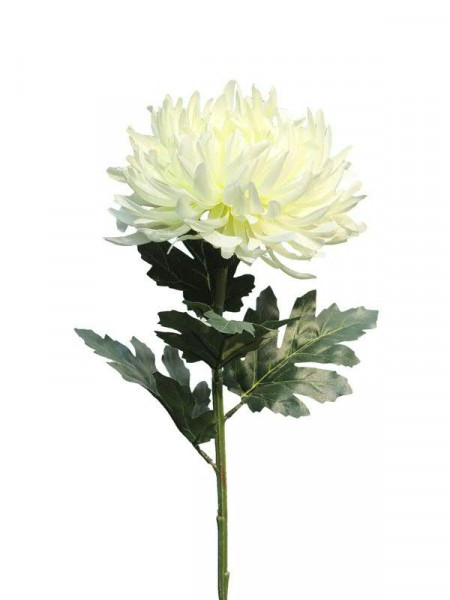 Chrysantheme 63cm, weiß