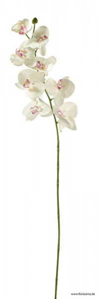 Phalaenopsis 90cm 8Blüten/1Knospe, pink