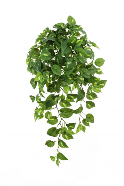 Philodendron Hänger 85cm 232Blatt, grün