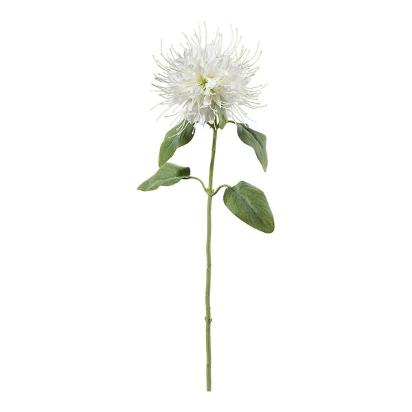 Blüten Zweig 73cm Monardo, weiß
