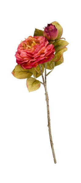 Rose 33cm 1 Blüte 1 Knospe Trockenoptik und Touch, pfirsich