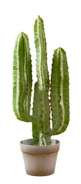 Kaktus 68cm SP im Topf, grün