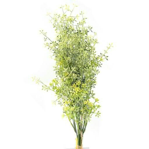 Eucalyptussamen Bündel x5 58cm, grün