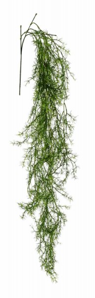 Asparagus Hänger 147cm 114Blatt, grün