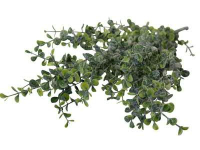 Eucalyptus Busch 43cm bepudert, grün