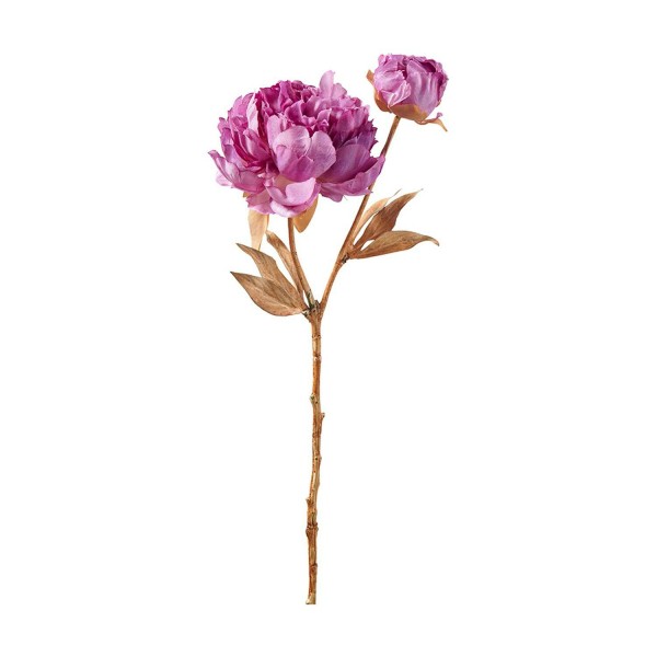Päonien Zweig x2 56cm, purple