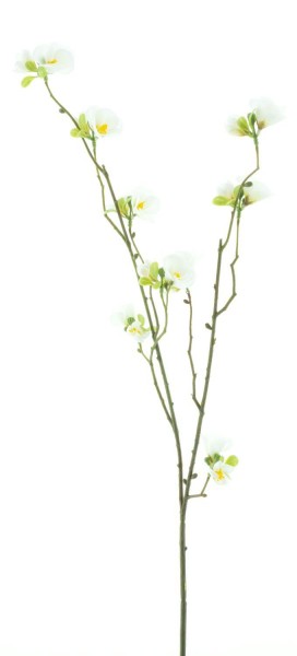 Blüten Zweig 67cm, creme
