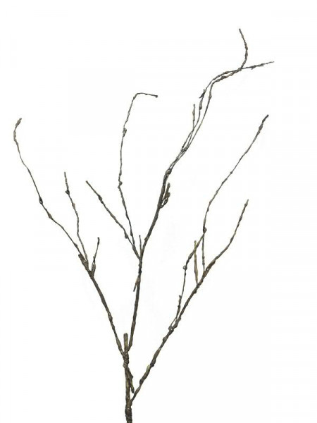 Zweig 95cm, natur