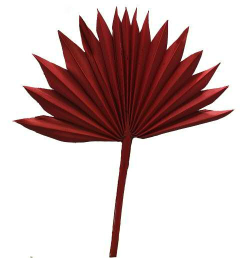 Palm Sun Cut mini nicht farbecht, rot