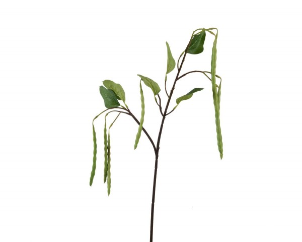 Zweig 70cm mit Schoten, grün