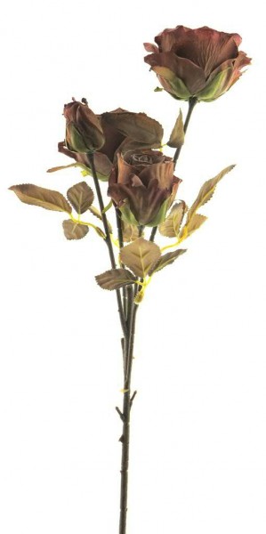 Rose verzweigt 54cm, braun