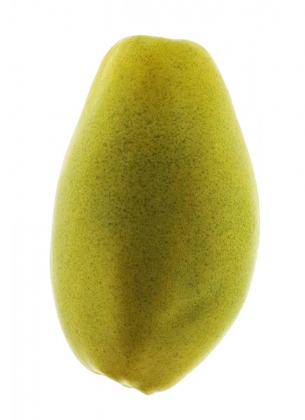 Papaya 17cm 3St., grün