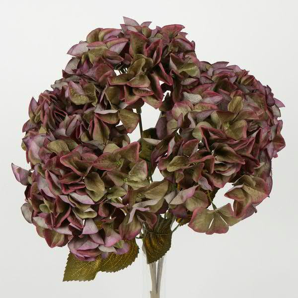 Hortensien Busch 45cm 5 Blüten, dkl.violet