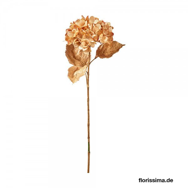 Hortensien Zweig 71cm, braun